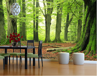 Decoración de interiores.: 11/01/2013 - 12/01/2013