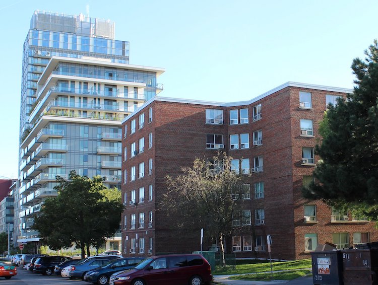 CABBAGETOWN NEIGHBOURHOOD REVIEW November 7