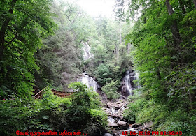 Curtis Creek falls  York Creek falls