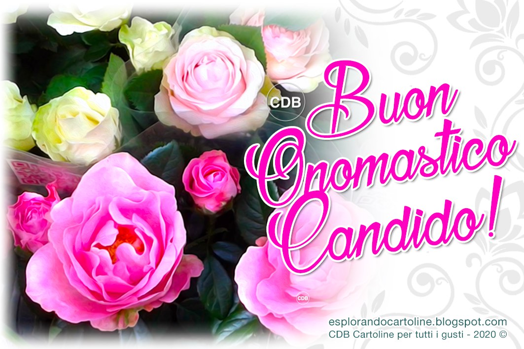 CDB Cartoline per tutti i gusti Cartolina 🌼🌸🌺 BUON ONOMASTICO CANDIDA jpg (1063x709)