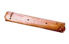 La Denník
