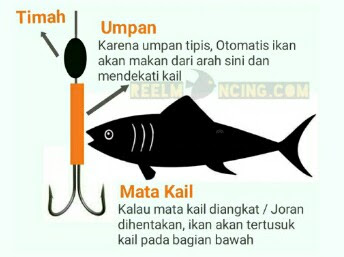 umpan ikan belanak