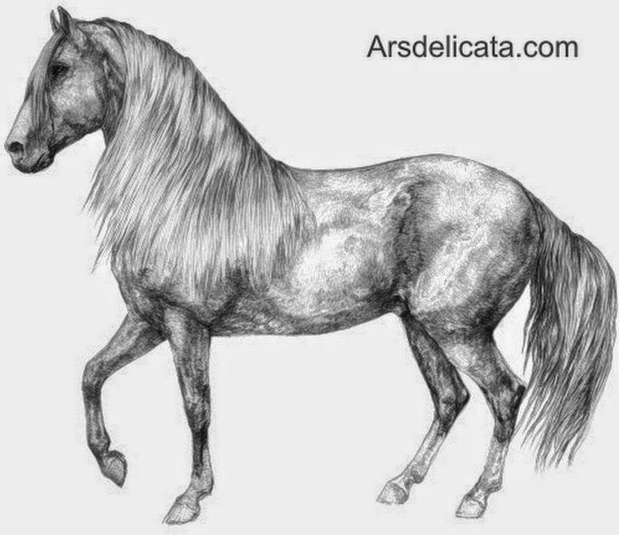 Pintura Moderna Y Fotografia Artistica Caballo Dibujo Realista A