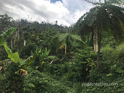 yoga aereo puerto rico