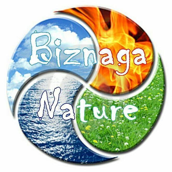 Biznaga Nature