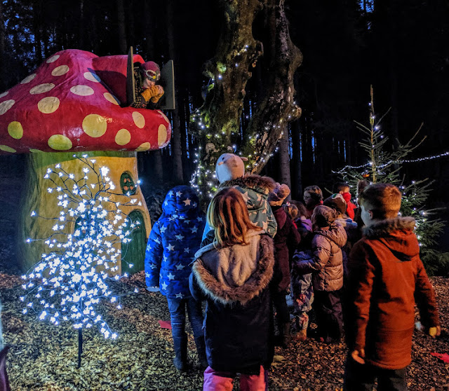 Kielder Winter Wonderland Review & Tips North East Family Fun