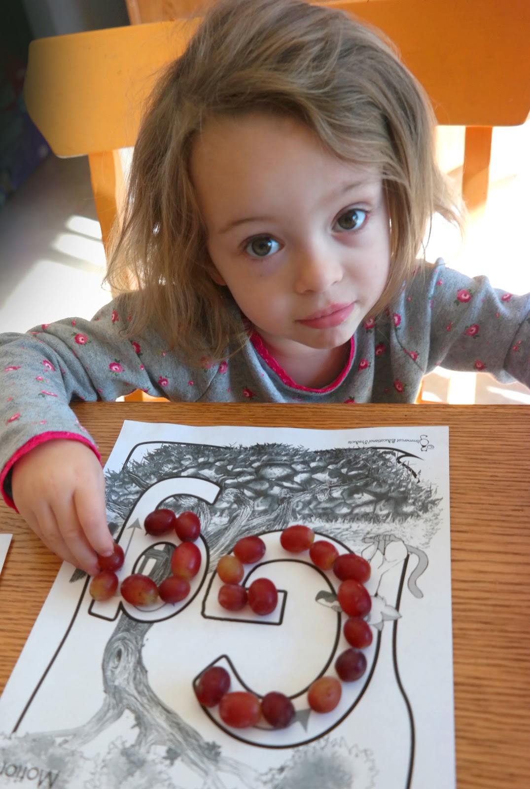 Glimmercat Education Letter of the Week Packet for G