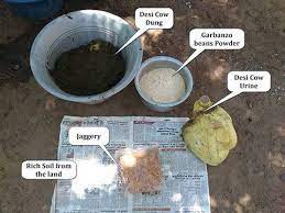 जीवामृत तयार करणे,जीवामृत कसे तयार करावे,जीवामृत,जीवामृत कसे तयार करावे pdf,जीवामृत तयार करण्याची पद्धत,जीवामृत तयार करणे,जीवामृत तयार कसे करावे,जीवामृत फवारणी,घन जीवामृत कसे तयार करावे,जीवांमृत कसे तयार करावे,जीवामृत तयार करण्याची कृती,जीवामृत तयार करण्याची विधी,जीवामृत चे फायदे,जीवामृत तयार करण्याची प्रकिया,जीवामृत बनवण्याची पद्धत,बागेसाठी जीवांमृत कसे तयार करावे,जीवामृत तयार करण्याची खूप सोपी पद्धत,जीवामृत तयार करण्यासाठी काय वापरावे,घन जीवामृत