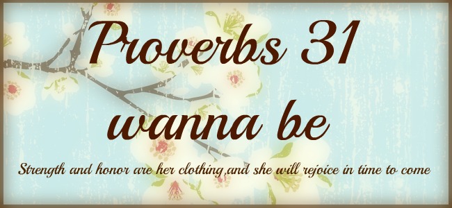 Proverbs 31 wanna be
