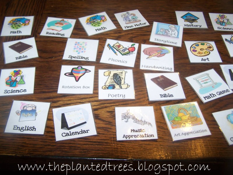 The Planted Trees: How I Plan Our Homeschool Day