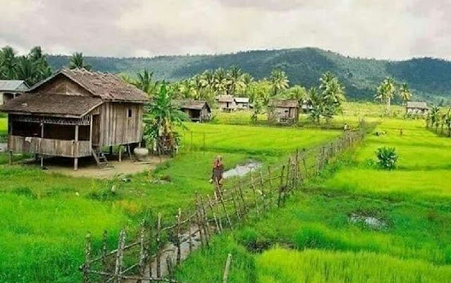 Small Houses in Village