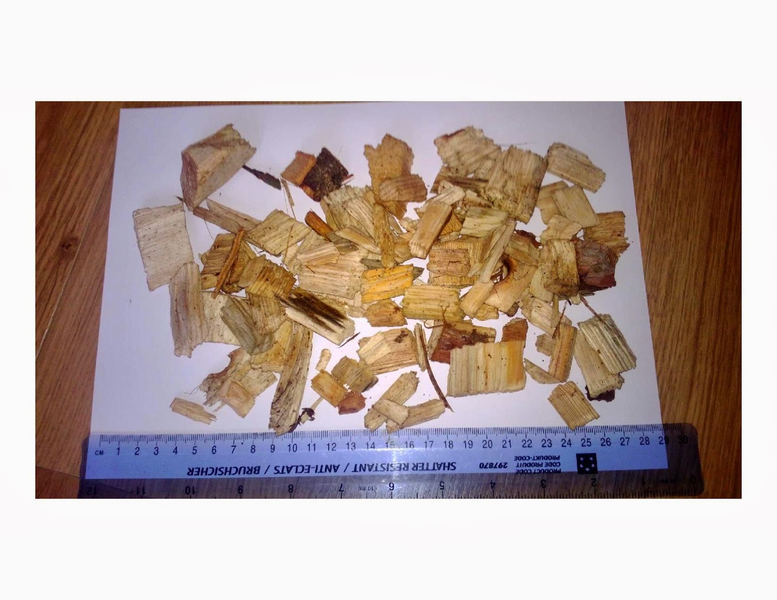 Wood Chips Biomass
