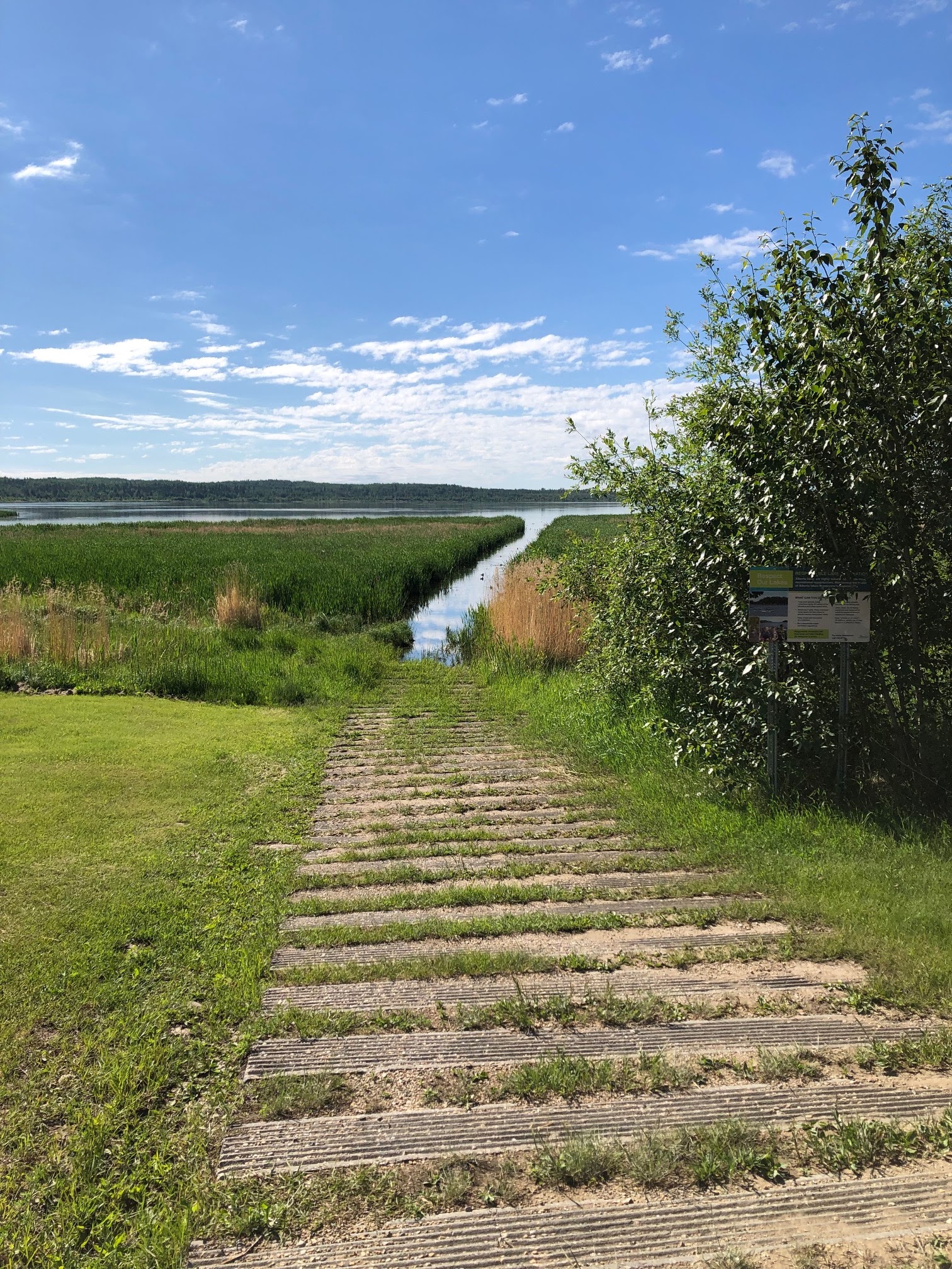 Canoeing Around Edmonton, Alberta, Canada Sandy Lake