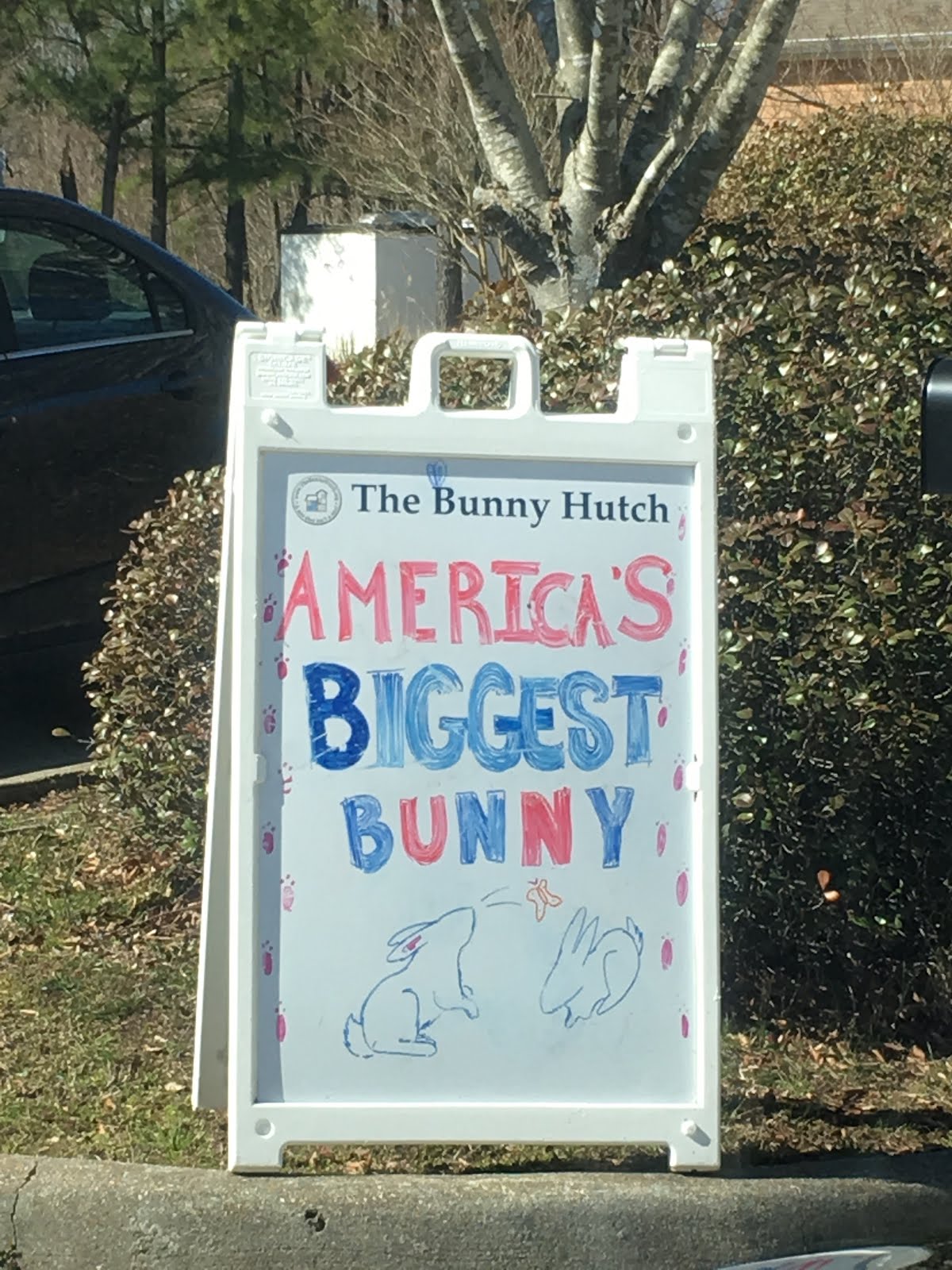 The Bunny Hutch Toddlin' Around Tidewater