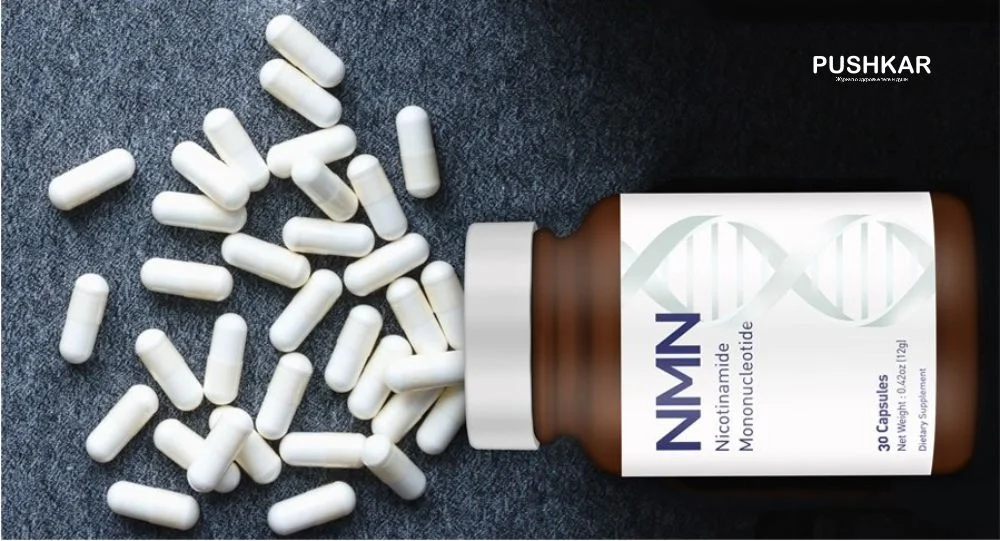 ПОВЫШЕНИЕ УРОВНЯ NAD+ ПОДДЕРЖИВАЕТ МЕТАБОЛИЗМ МЫШЦ.