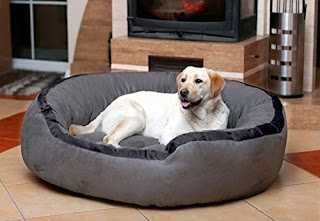 Dog Bed in India