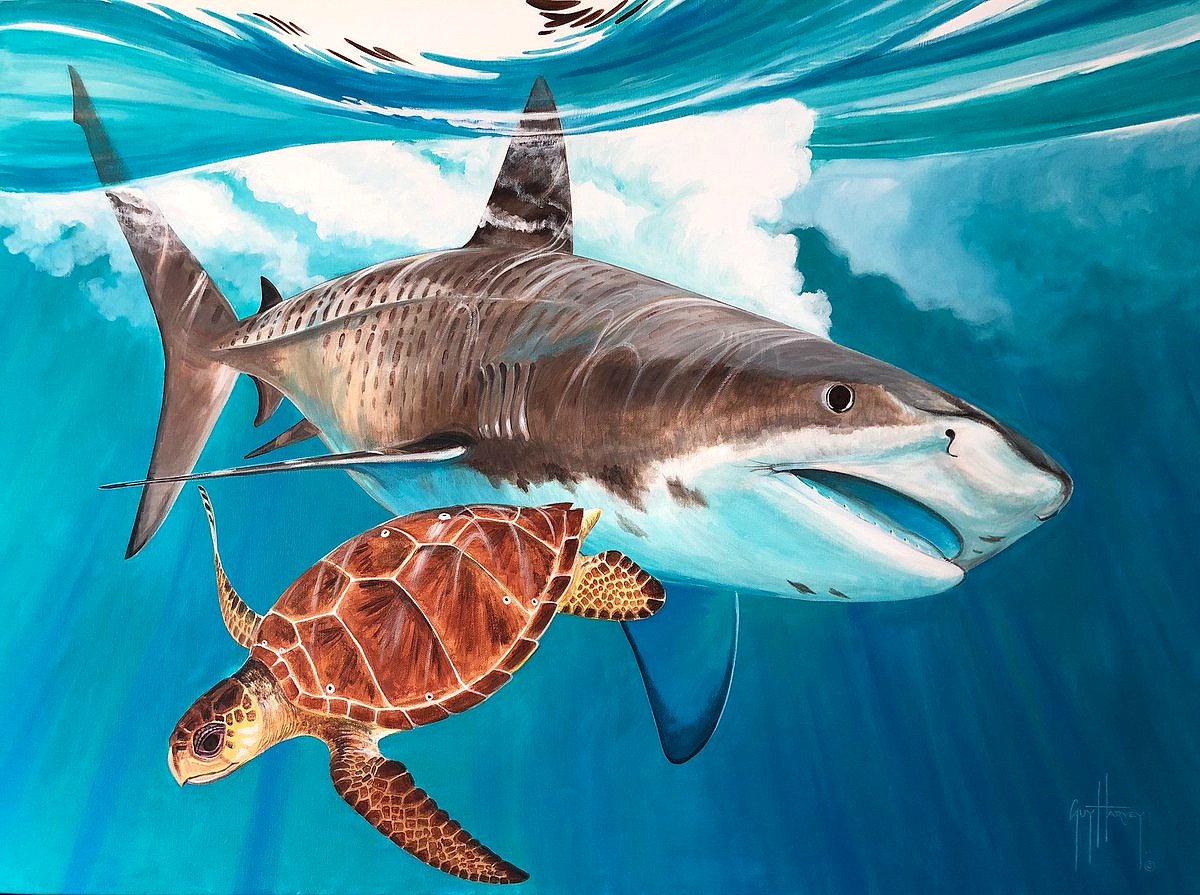 The Best Shark Dive in the World!: Tiger Shark vs Loggerhead Turtle!