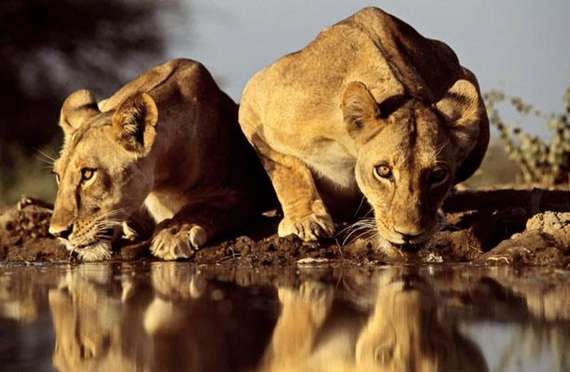 Cool And Amazing Photographs | Greg Du Toit Seen On www.coolpicturegallery.us
