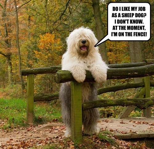 Bytes Funny Friday