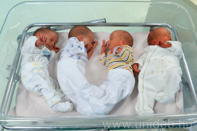 Elhagyhatták az inkubátort és már az első családi fotók is elkészültek a négyes ikrekről. A "debreceni négyesről" az elmúlt napokban több mint száz beszámoló született és különleges látogatók is érkeztek.