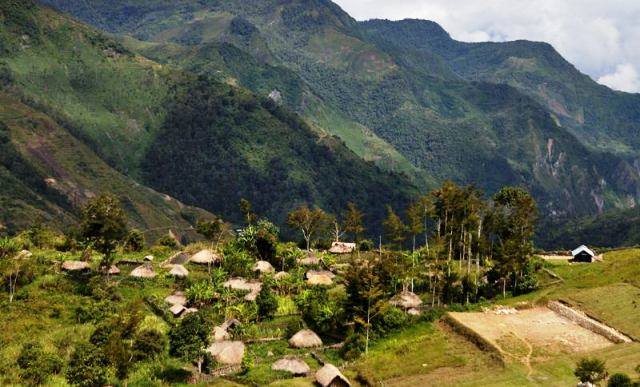 Perumahan Masyarakat Lembah Baliem