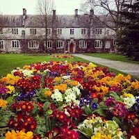 Pictures of Ireland: Flowers on the University College Cork (UCC) campus