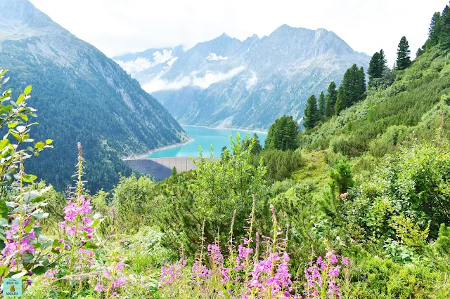 Excursión a Olpererhütte en Zillertal, Tirol