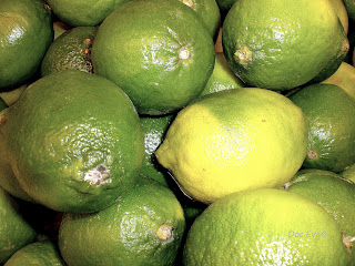 Limette (Citrus × latifolia)