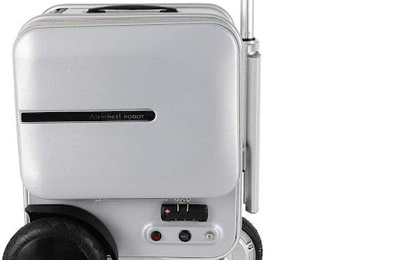 pathfinder luggage set