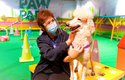 SM%2BCITY%2BMARILAO%2BPHOTO%2B%2B01