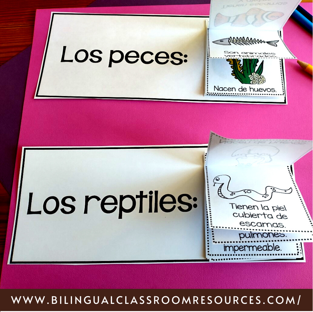 Animal Classification Flip Books in Spanish-Clasificación de animales