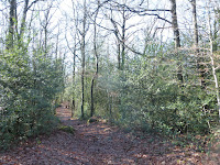 Randonnée Tarn Sidobre Bea Rando Decouverte