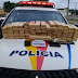 Polícia Militar apreende 70 kg de maconha em Ceilândia
