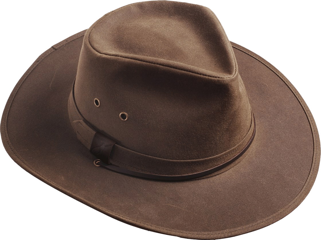 Боливар это широкополая шляпа. Боливар шляпа 19 век. Шляпы широкополые мужские 19 век. Широкополая шляпа мужская Боливар. Bai hat