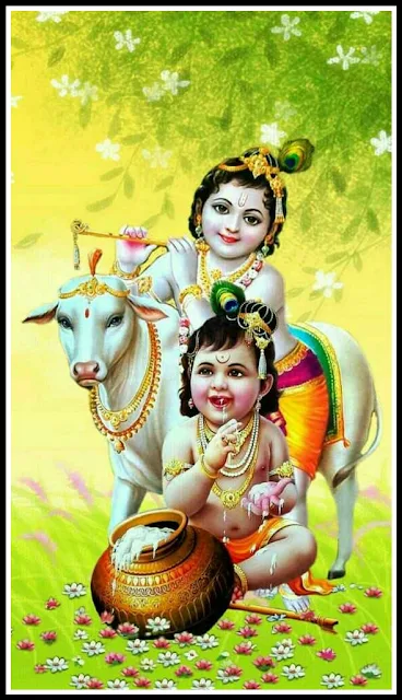 cute krishna images hd