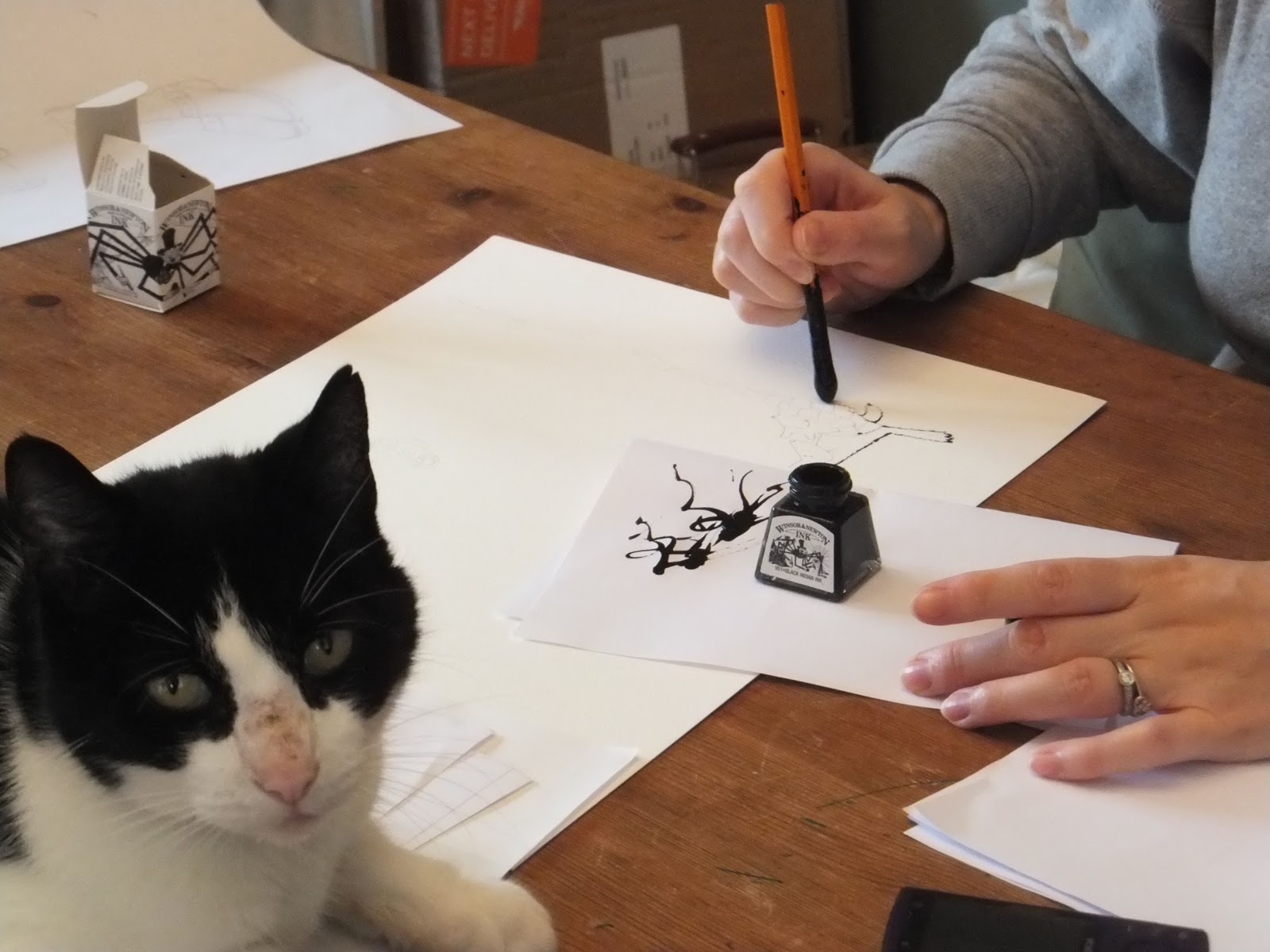 Jill Latter Biglietto D'auguri Musicale Con Gatti, Design Variazioni Su Un Tema, Interni Bianchi, In Inglese
