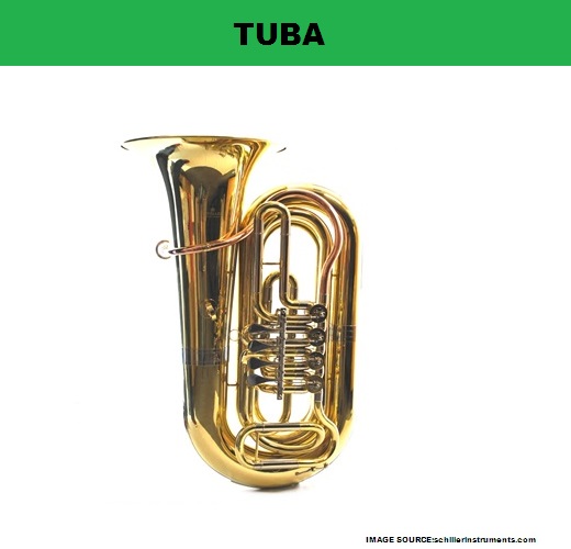 My Homeworks BRASS WIND INSTRUMENTTUBA