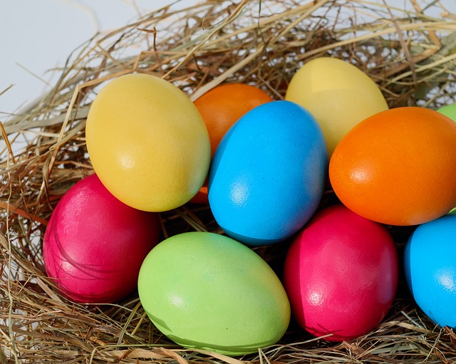 coloured eggs in nest
