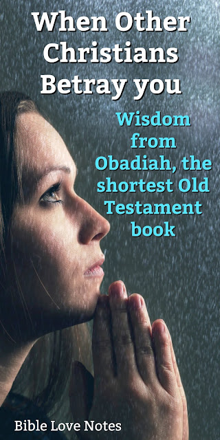 Just like Edom betrayed their brothers in Israel, modern professing Christians are betraying Christians who stand up for God's truth. This 1-minute devotion explains. #BibleLoveNotes #Bible #Devotions #Obadiah