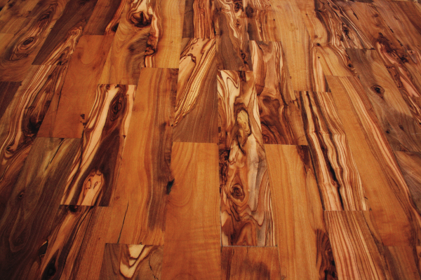 Las Maderas: Tipos de Maderas y Características.