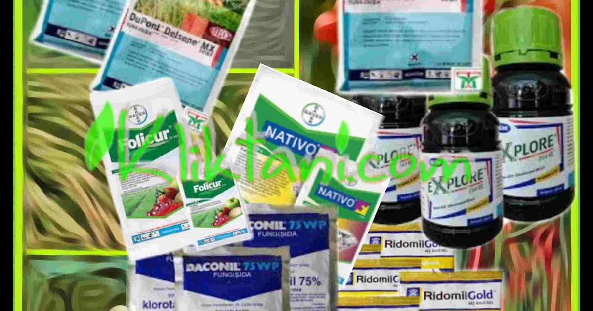 21 Merk Fungisida Berbahan Aktif Karbendazim Kliktani Com