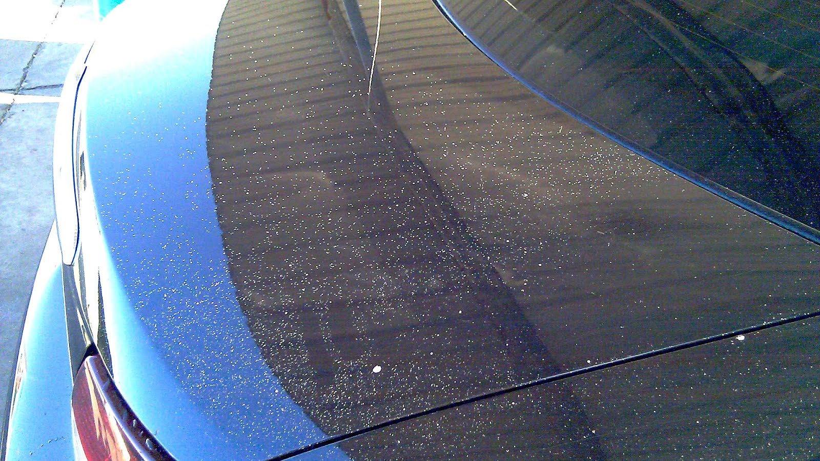 Best Way To Remove Paint Overspray - Paint Choices