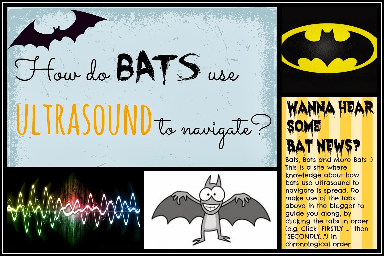 How do bats use ultrasound to navigate? 