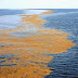 The coastless sea and the mystery of a series of derelict wrecks floating