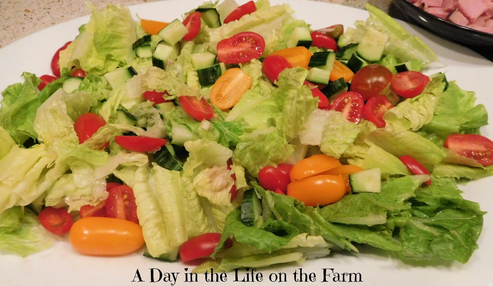 A Day in the Life on the Farm Copycat Buddy's Antipasto Salad 