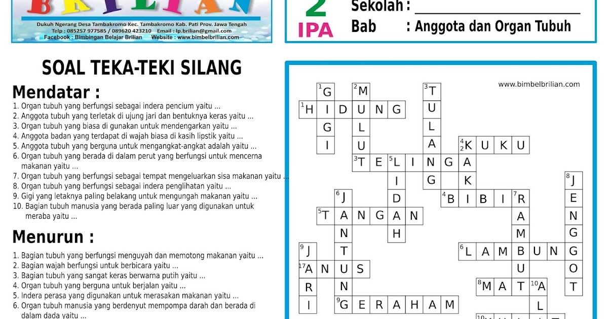 Popular 11+ Soal Essay Ipa Kelas 7 Semester 1 Dan Kunci Popular 11+ Soal Essay Ipa Kelas 7 Semester 1 Dan Kunci