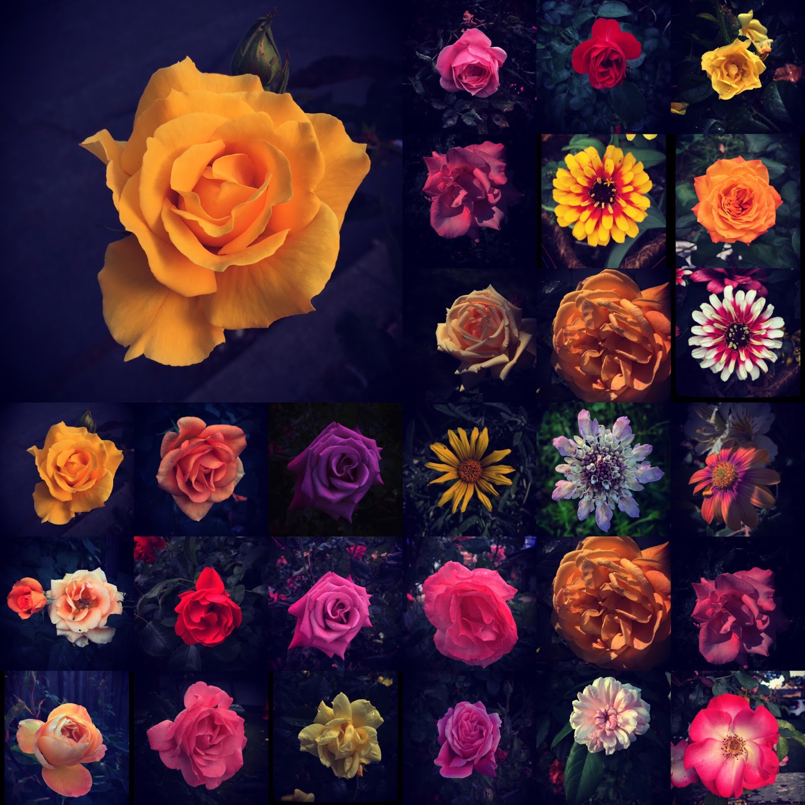 Ozgur Keles Gallery