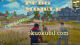 Pubg Mobile CRN Gameloop Aim Esp Hilesi İndir 2020