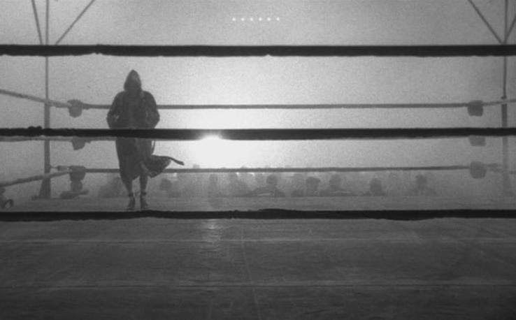 scorsese raging bull scorsese raging bull