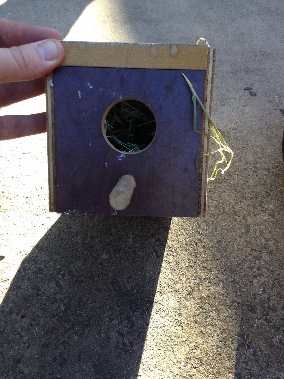Parrot Breeding: Gouldian Finch - Nesting box